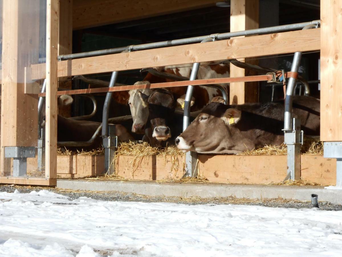 Hof Kurzamann Apartment Klosterle am Arlberg ภายนอก รูปภาพ